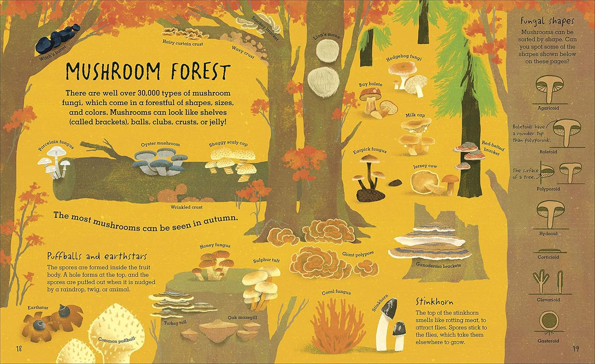 HUMONGOUS FUNGUS: THE WEIRD AND WONDERFUL KINDOM OF FUNGI