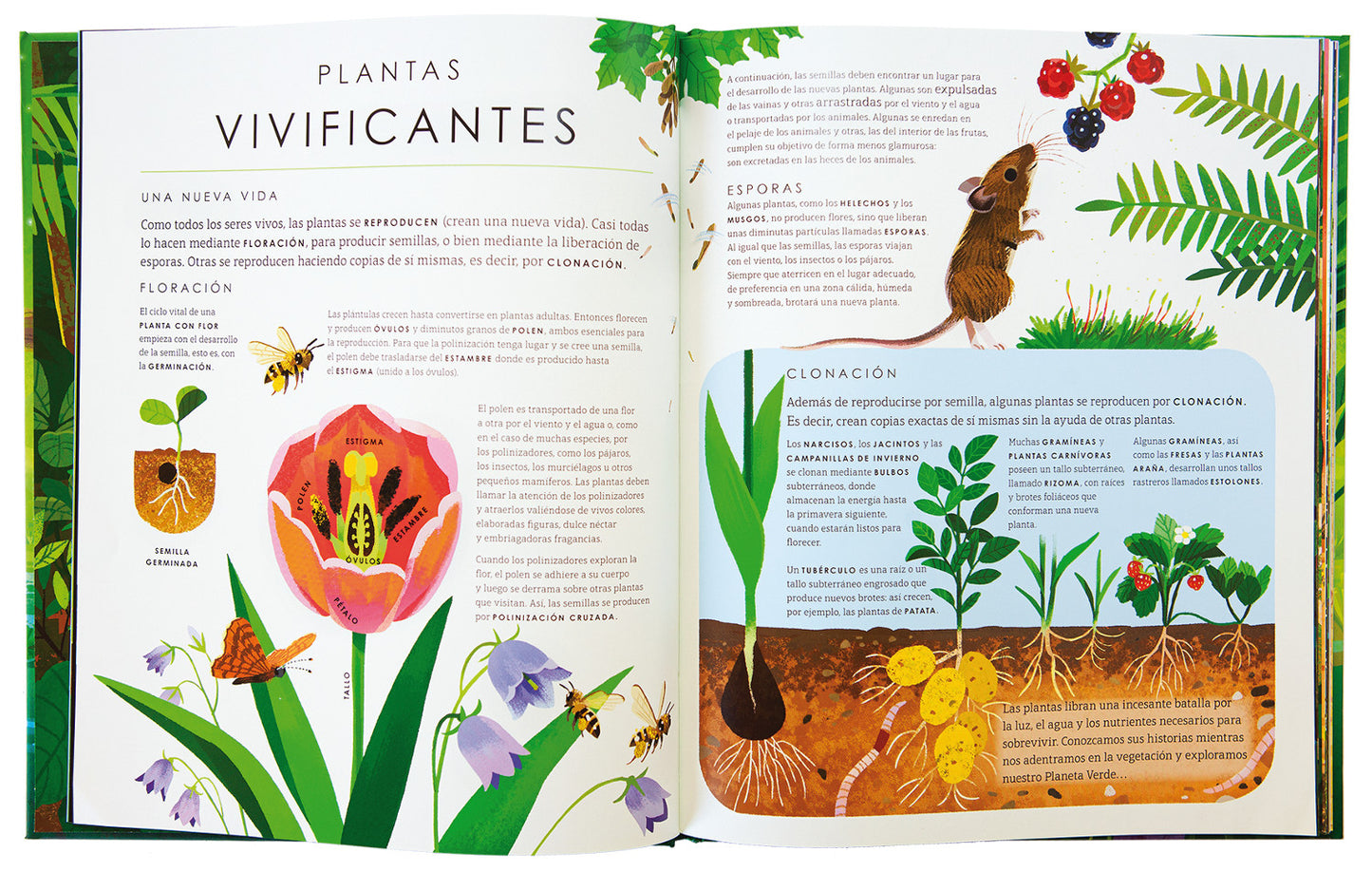 PLANETA VERDE