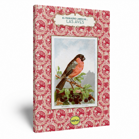 EL PEQUEÑO LIBRO DE LAS AVES