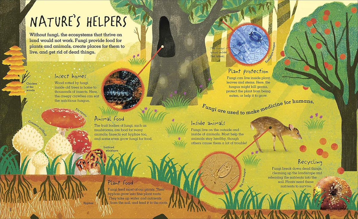 HUMONGOUS FUNGUS: THE WEIRD AND WONDERFUL KINDOM OF FUNGI