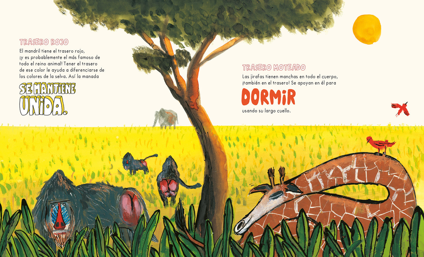 EL LIBRO DE LOS TRASEROS